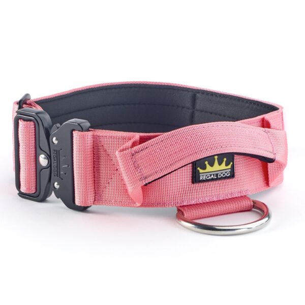 Pink Tactical Collar (5cm)