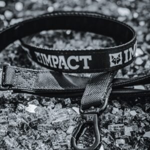 Personalized Name Collar