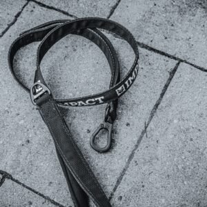 Classic Leather Collar